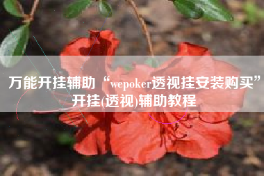 万能开挂辅助“wepoker透视挂安装购买”开挂(透视)辅助教程