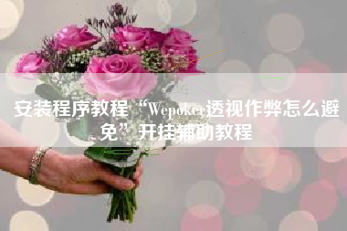 安装程序教程“Wepoker透视作弊怎么避免”开挂辅助教程