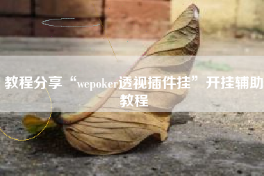 教程分享“wepoker透视插件挂	”开挂辅助教程