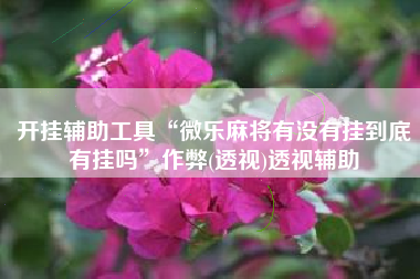 开挂辅助工具“微乐麻将有没有挂到底有挂吗	”作弊(透视)透视辅助