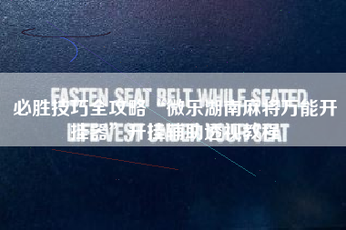 必胜技巧全攻略“微乐湖南麻将万能开挂器”开挂辅助透视教程