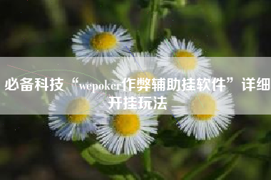 必备科技“wepoker作弊辅助挂软件	”详细开挂玩法
