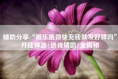 辅助分享“微乐跑得快充钱就发好牌吗”开挂神器{透视辅助}全揭秘