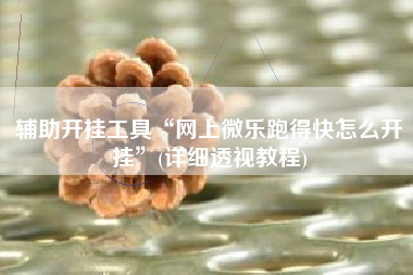 辅助开挂工具“网上微乐跑得快怎么开挂”(详细透视教程)