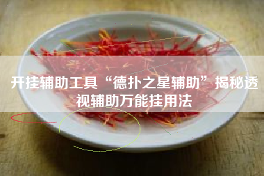 开挂辅助工具“德扑之星辅助”揭秘透视辅助万能挂用法