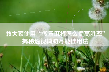 教大家使用“微乐麻将怎么提高胜率	”揭秘透视辅助万能挂用法