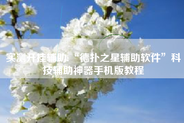 实测开挂辅助:“德扑之星辅助软件	”科技辅助神器手机版教程