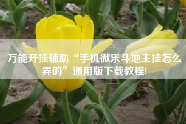 万能开挂辅助“手机微乐斗地主挂怎么弄的”通用版下载教程!