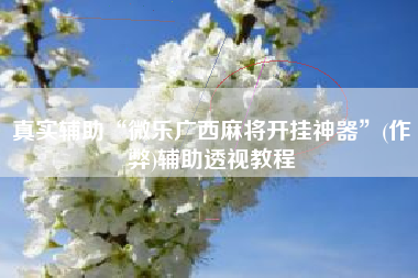 真实辅助“微乐广西麻将开挂神器”(作弊)辅助透视教程