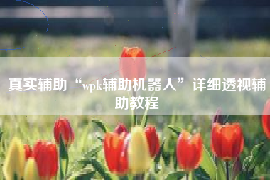 真实辅助“wpk辅助机器人”详细透视辅助教程