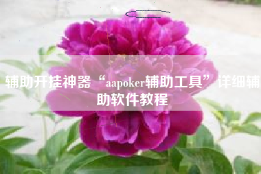 辅助开挂神器“aapoker辅助工具	”详细辅助软件教程