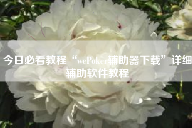 今日必看教程“wePoker辅助器下载”详细辅助软件教程