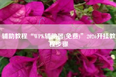 辅助教程“WPK辅助器(免费)”2026开挂教程步骤