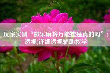 玩家实测“微乐麻将万能挂是真的吗”(透视)详细透视辅助教学