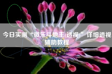 今日实测“微乐斗地主(透视)”详细透视辅助教程