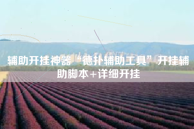辅助开挂神器“德扑辅助工具	”开挂辅助脚本+详细开挂