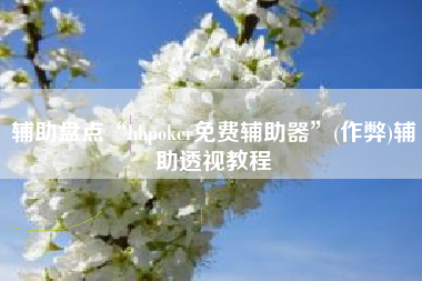 辅助盘点“hhpoker免费辅助器”(作弊)辅助透视教程