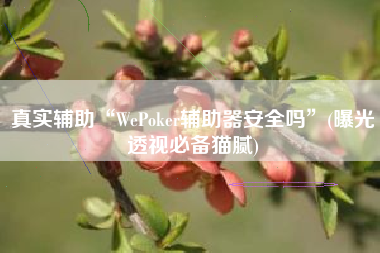 真实辅助“WePoker辅助器安全吗	”(曝光透视必备猫腻)
