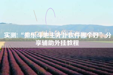 实测!“微乐斗地主外卦软件哪个好”分享辅助外挂教程