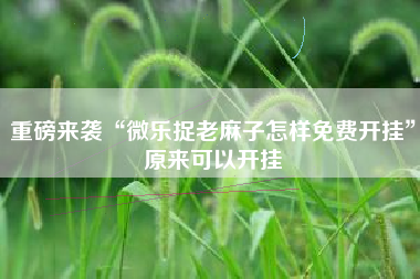 重磅来袭“微乐捉老麻子怎样免费开挂	”原来可以开挂