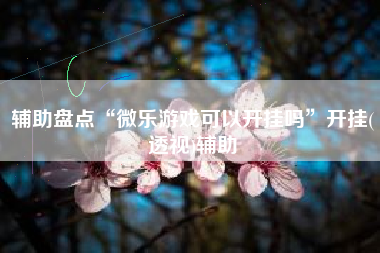 辅助盘点“微乐游戏可以开挂吗	”开挂(透视)辅助