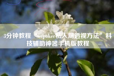 3分钟教程“wepoker私人局透视方法”科技辅助神器手机版教程