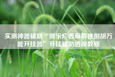 实测神器辅助“微乐广西麻将推倒胡万能开挂器”开挂辅助透视教程