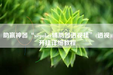助赢神器“wepoker辅助器透视挂”(透视)开挂详细教程
