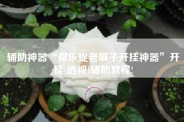 辅助神器“微乐捉老麻子开挂神器	”开挂(透视)辅助教程!