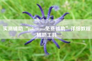 实测辅助“pokemmo免费辅助”详细教程辅助工具