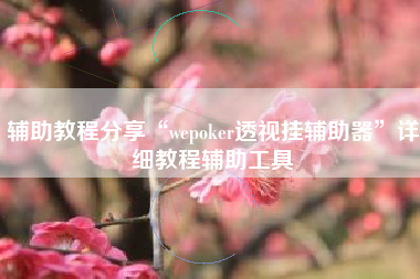 辅助教程分享“wepoker透视挂辅助器	”详细教程辅助工具