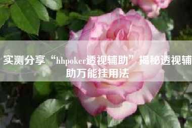 实测分享“hhpoker透视辅助”揭秘透视辅助万能挂用法