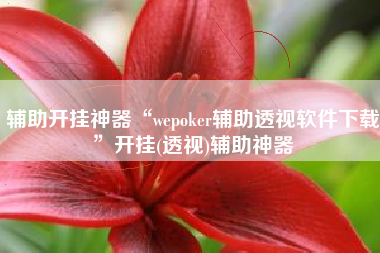 辅助开挂神器“wepoker辅助透视软件下载”开挂(透视)辅助神器