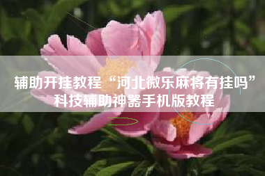 辅助开挂教程“河北微乐麻将有挂吗”科技辅助神器手机版教程