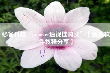 必备科技“wepoker透视挂购买”【透视软件教程分享】