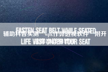 辅助科普实测“wpk作弊透视软件”附开挂脚本详细教程