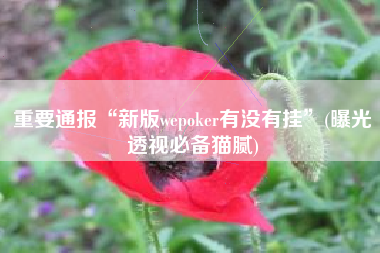 重要通报“新版wepoker有没有挂”(曝光透视必备猫腻)