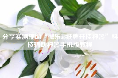 分享实测辅助“微乐a3纸牌开挂神器	”科技辅助神器手机版教程