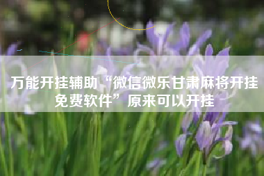 万能开挂辅助“微信微乐甘肃麻将开挂免费软件	”原来可以开挂