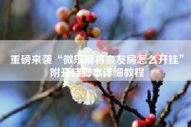 重磅来袭“微乐麻将亲友房怎么开挂”附开挂脚本详细教程