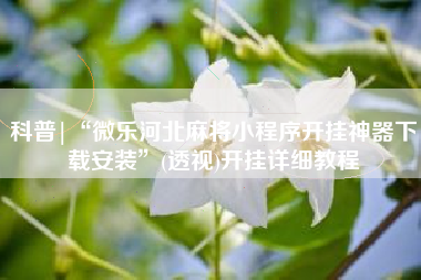 科普|“微乐河北麻将小程序开挂神器下载安装	”(透视)开挂详细教程