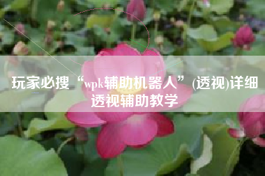 玩家必搜“wpk辅助机器人”(透视)详细透视辅助教学