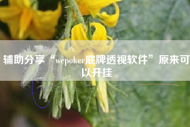 辅助分享“wepoker底牌透视软件	”原来可以开挂