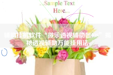 辅助挂机软件“微乐透视辅助器IOS	”揭秘透视辅助万能挂用法