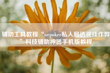 辅助工具教程“wepoker私人局透视挂作弊”科技辅助神器手机版教程