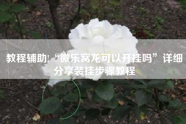 教程辅助!“微乐窝龙可以开挂吗	”详细分享装挂步骤教程