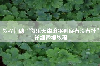 教程辅助“微乐天津麻将到底有没有挂	”详细透视教程
