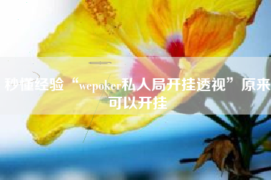 秒懂经验“wepoker私人局开挂透视	”原来可以开挂