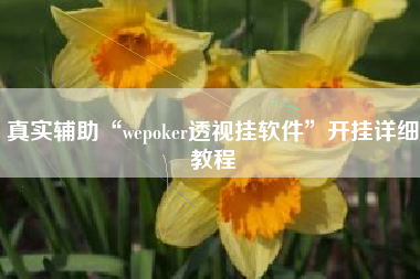 真实辅助“wepoker透视挂软件	”开挂详细教程