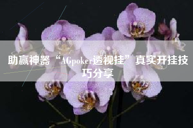 助赢神器“AGpoker透视挂	”真实开挂技巧分享